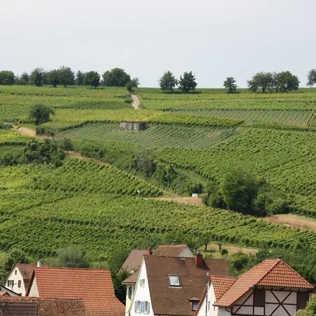 Bioweingut Und Ferienwohnung Kaufmann Efringen-Kirchen Exterior photo