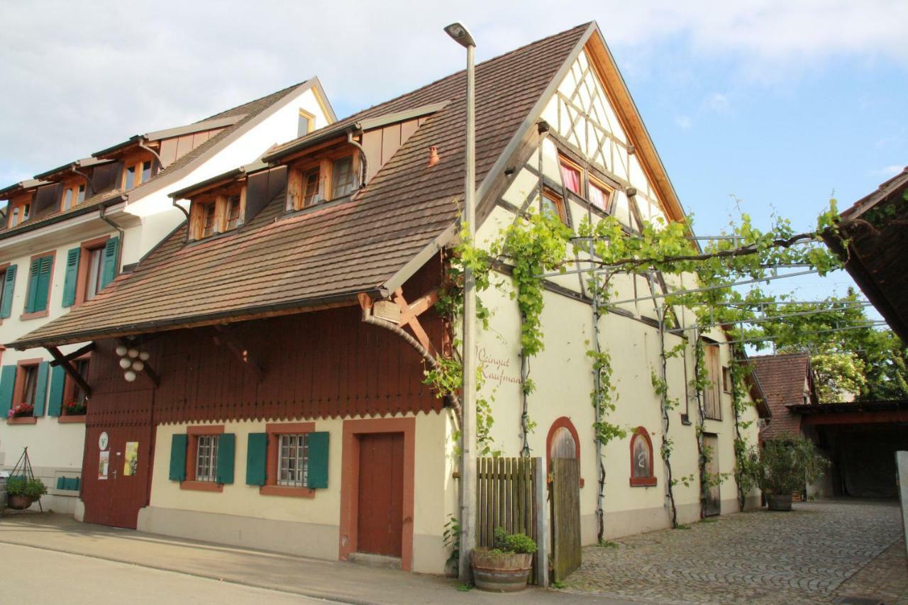Bioweingut Und Kaufmann Efringen-Kirchen