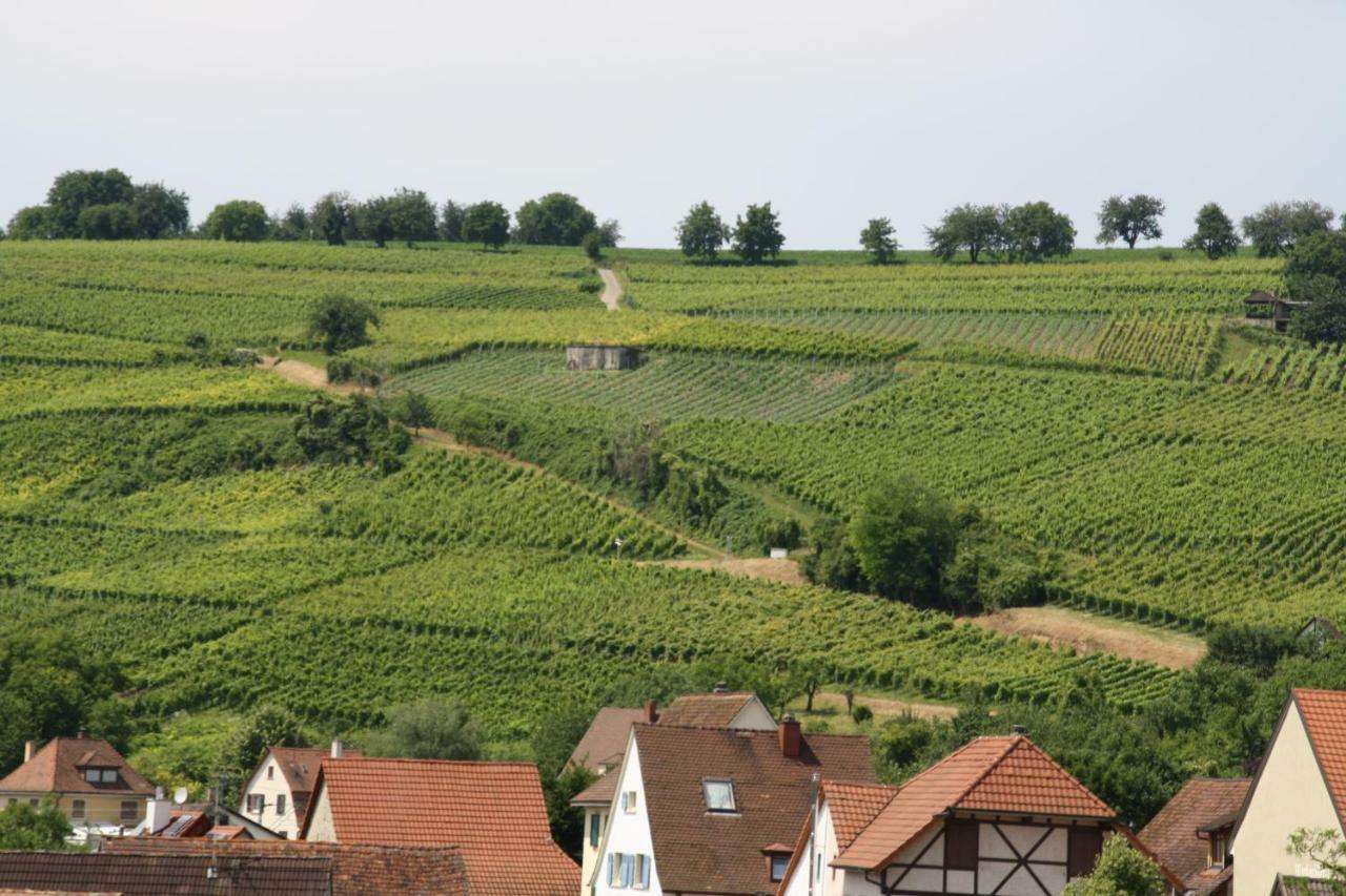 Apartment Bioweingut Und Kaufmann