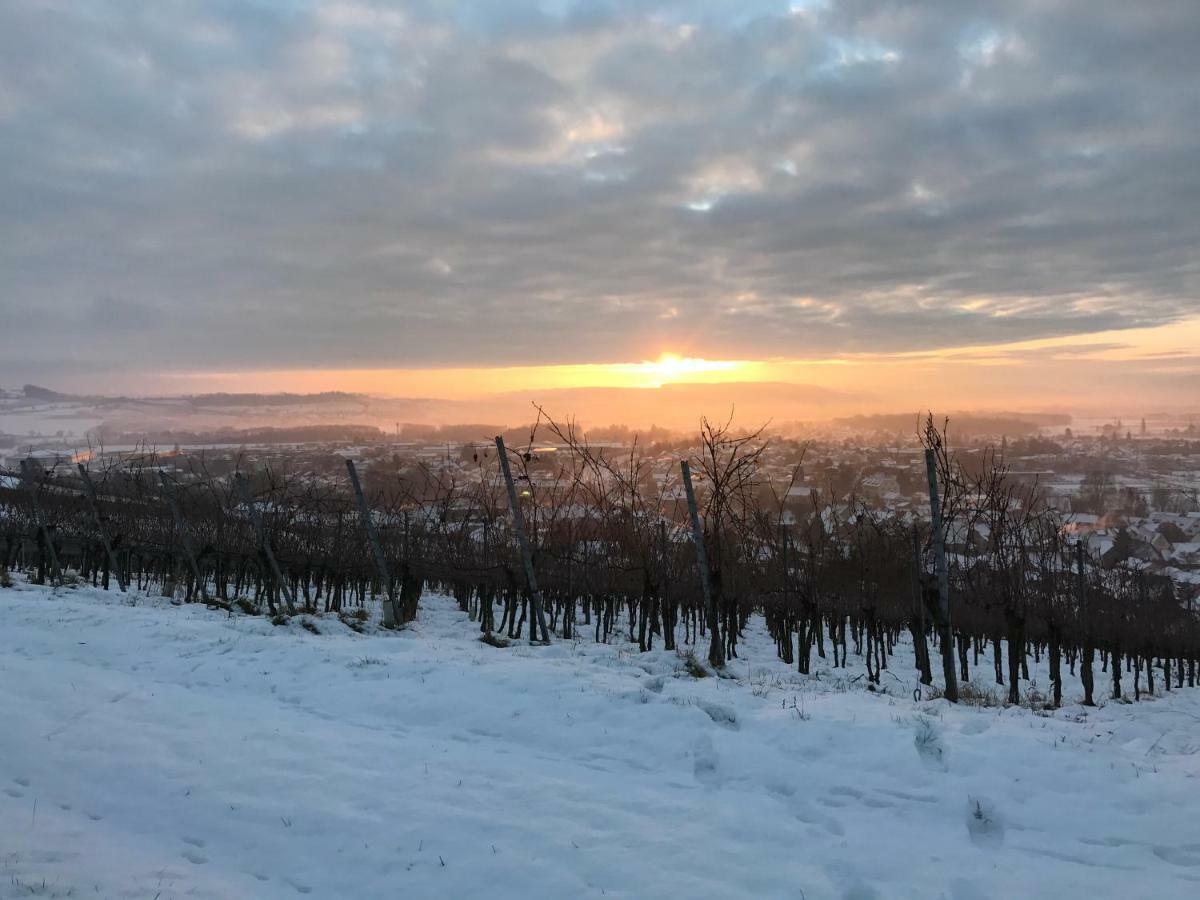 Apartment Bioweingut Und Kaufmann *